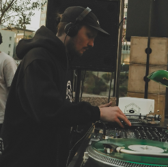 Krane